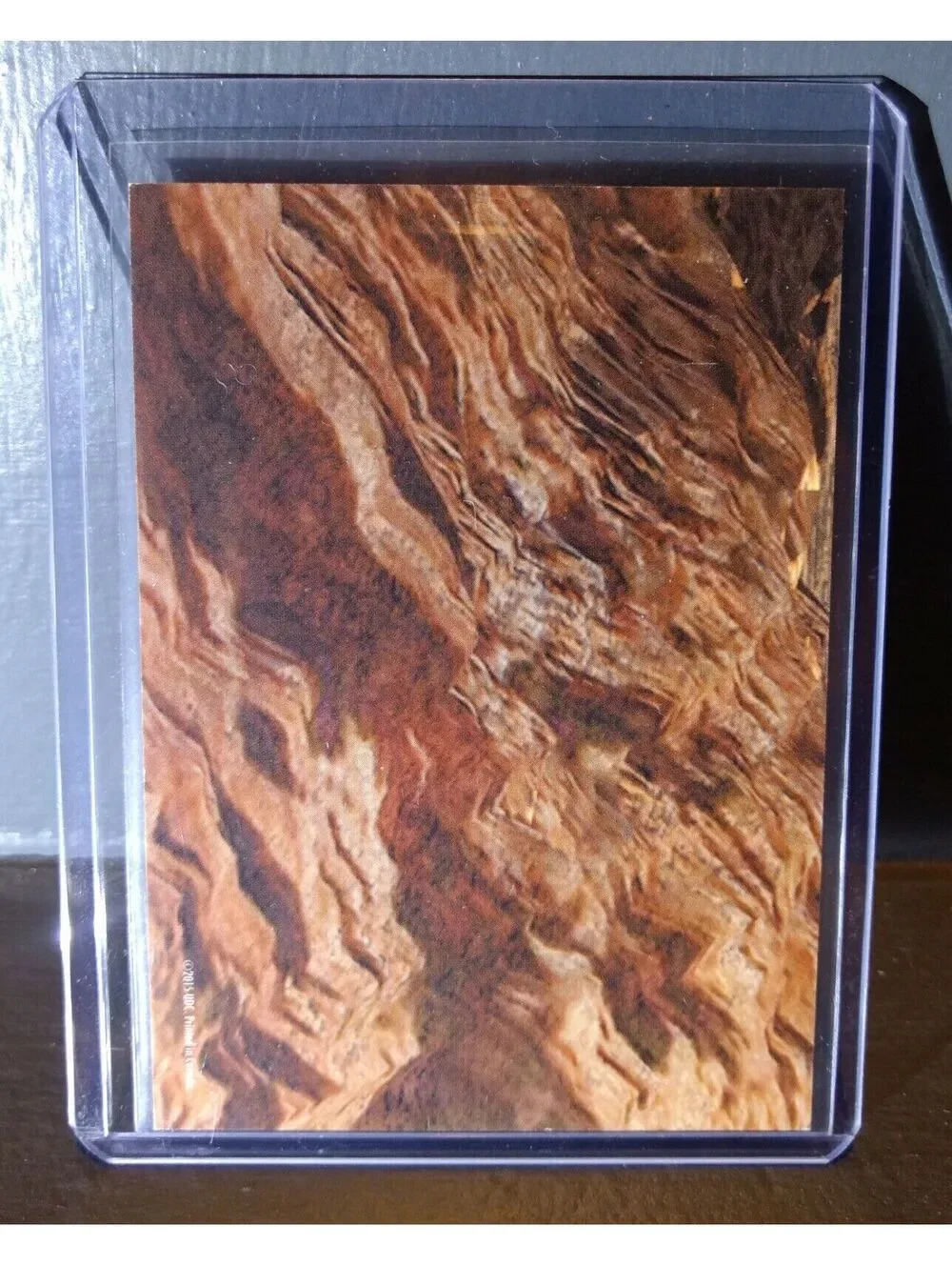 2015 Upper Deck Dinosaurs Smilodon #S-30 Trading Sticker Card